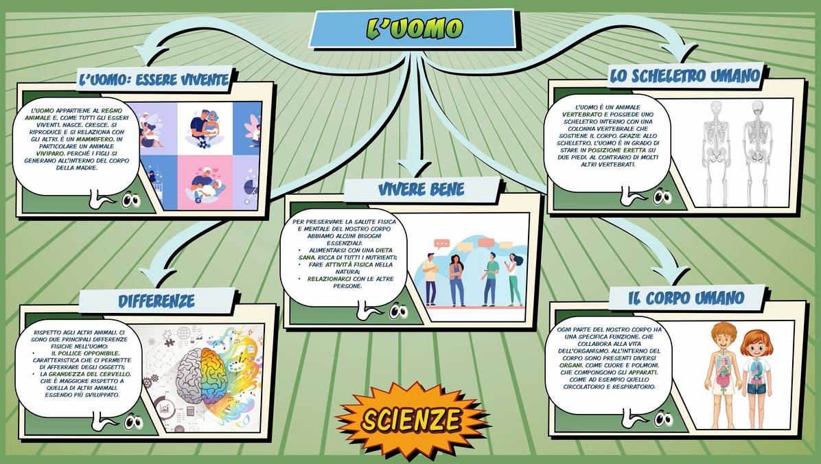 Uomo Schooltoon Scienze Primaria