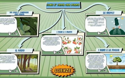 Come è fatta una pianta – Scienze per la Primaria – Schooltoon