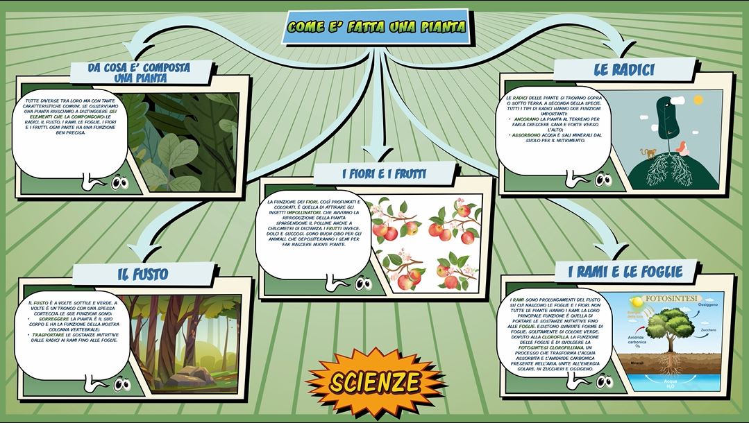 Come è fatta una pianta – Scienze per la Primaria – Schooltoon