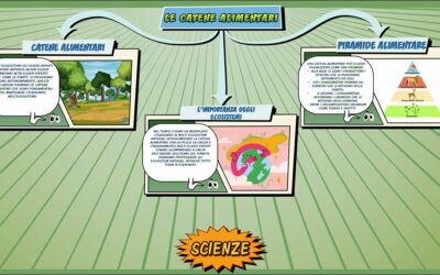 Le catene alimentari – Scienze per la Primaria – Schooltoon