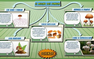 Il regno dei funghi – Scienze per la Primaria – Schooltoon