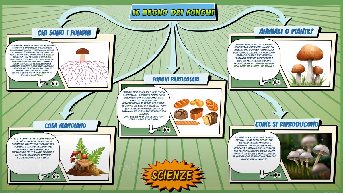 Regno dei funghi Schooltoon Scienze Primaria