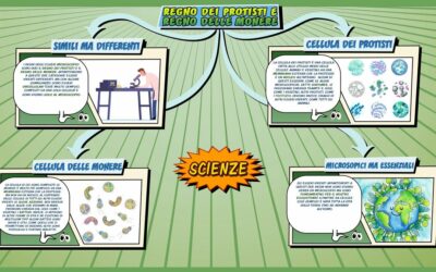 Regno dei protisti e regno delle monere  – Scienze per la Primaria – Schooltoon