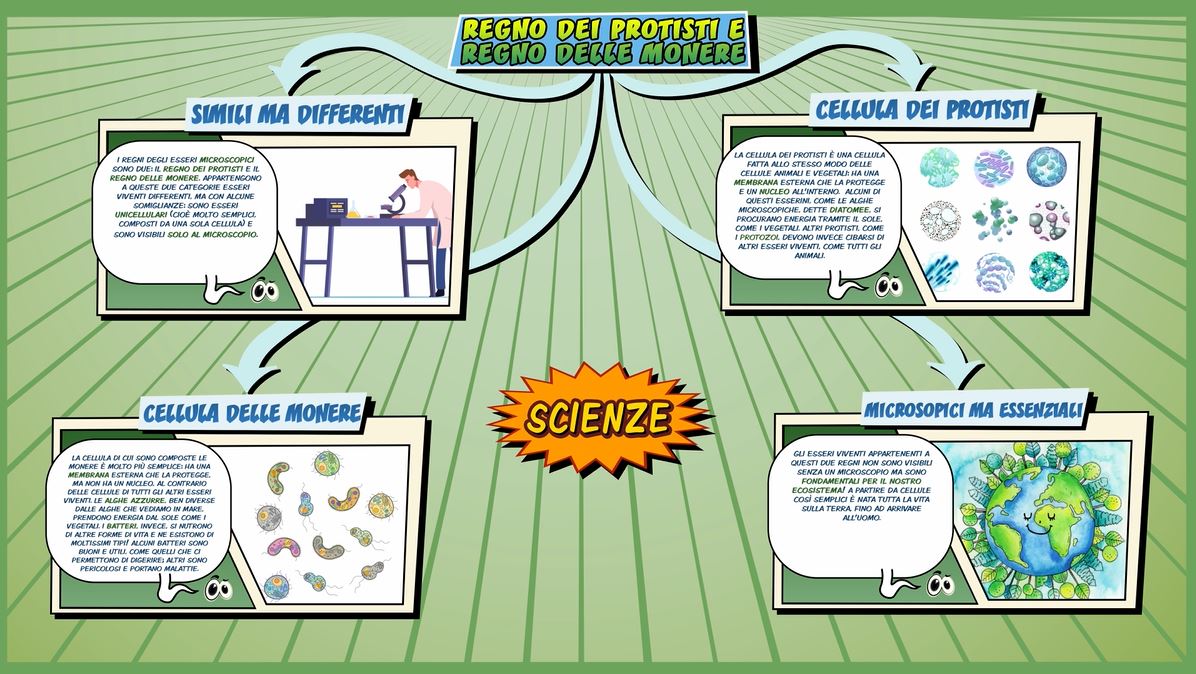 Protisti e monere Schooltoon Scienze Primaria