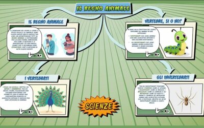 Il regno animale – Scienze per la Primaria – Schooltoon