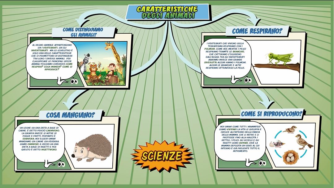 Caratteristiche degli animali Schooltoon Scienze Primaria