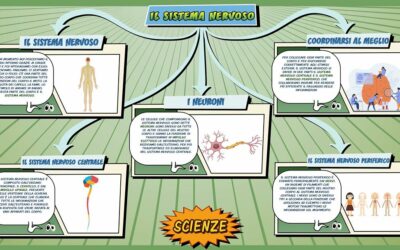 Il sistema nervoso – Scienze per la Primaria – Schooltoon