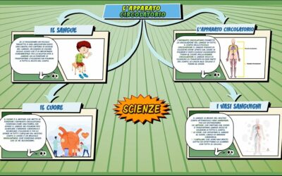 L’apparato circolatorio – Scienze per la Primaria – Schooltoon