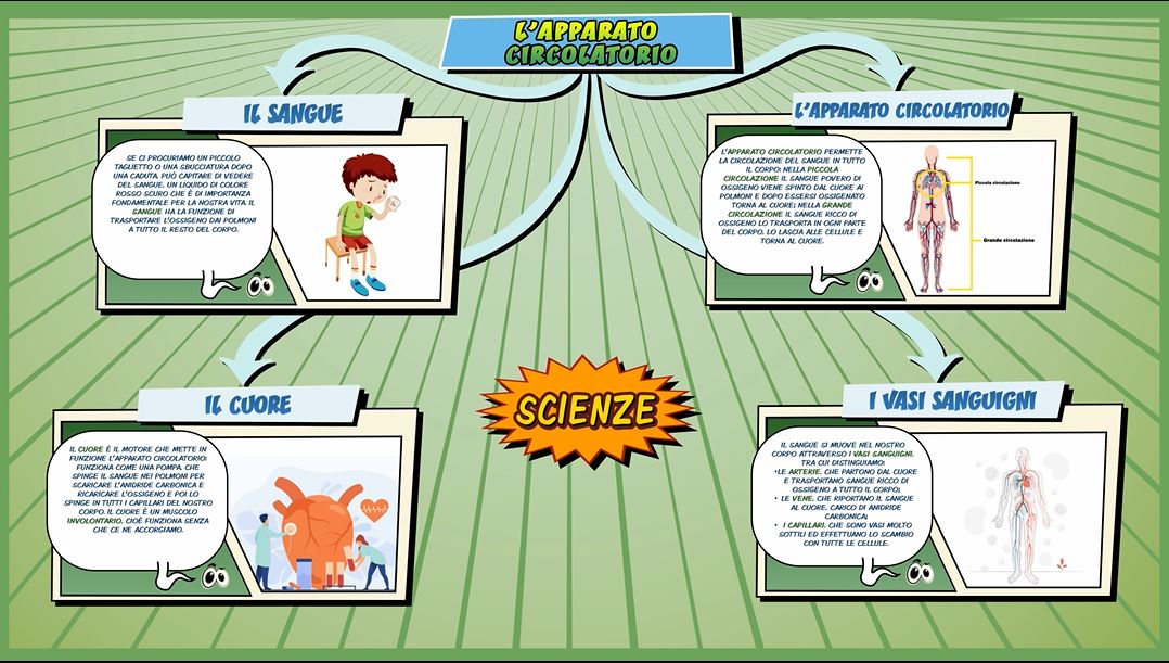 Sistema Circolatorio Schooltoon Scienze Primaria