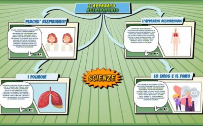 L’apparato respiratorio – Scienze per la Primaria – Schooltoon