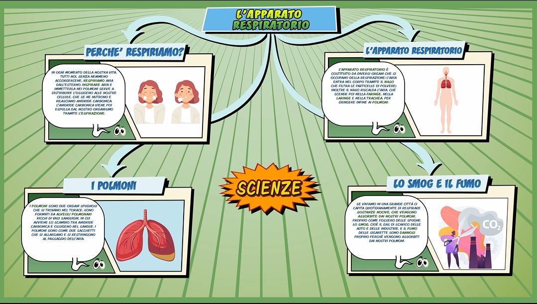 Apparato respiratorio Schooltoon Scienze Primaria