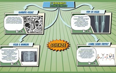 L’apparato scheletrico – Scienze per la Primaria – Schooltoon