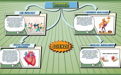 L’apparato muscolare – Scienze per la Primaria – Schooltoon