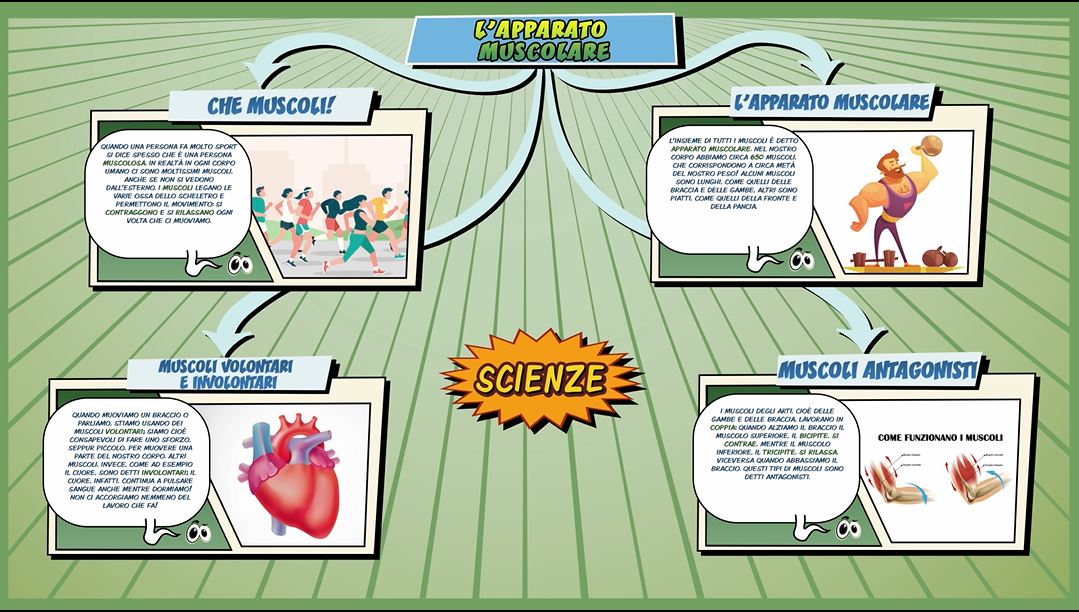 L’apparato muscolare – Scienze per la Primaria – Schooltoon