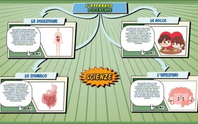 L’apparato digerente – Scienze per la Primaria – Schooltoon