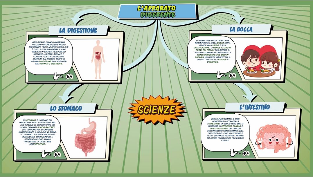 L’apparato digerente – Scienze per la Primaria – Schooltoon