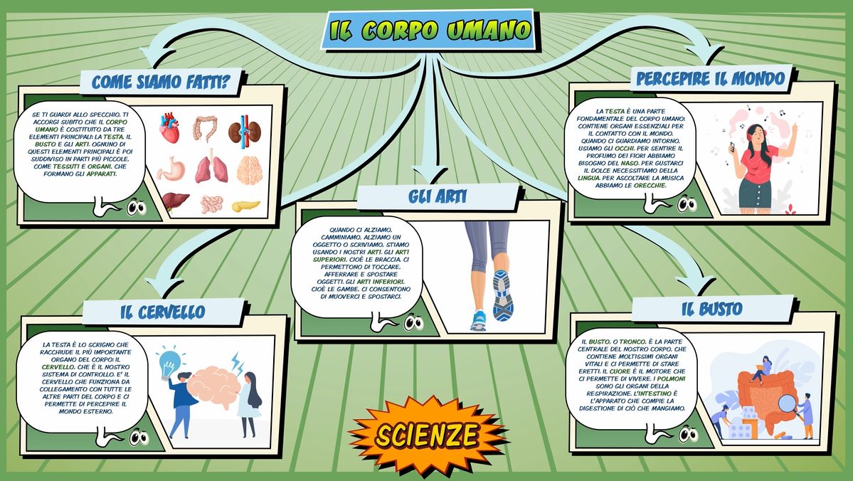 Corpo umano Schooltoon Scienze Primaria