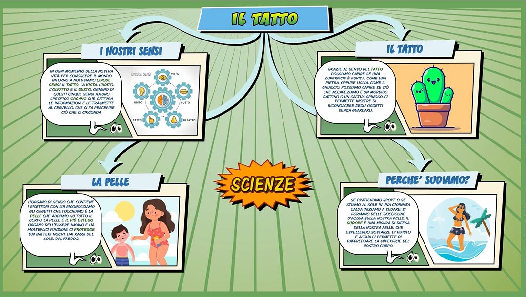 Il tatto – Scienze per la Primaria – Schooltoon