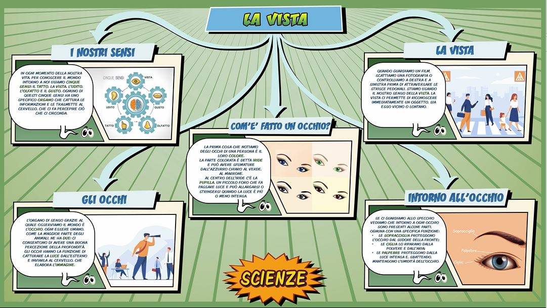 La vista – Scienze per la Primaria – Schooltoon