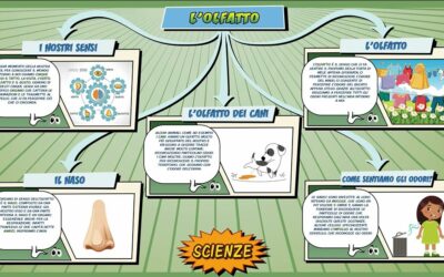 L’olfatto – Scienze per la Primaria – Schooltoon