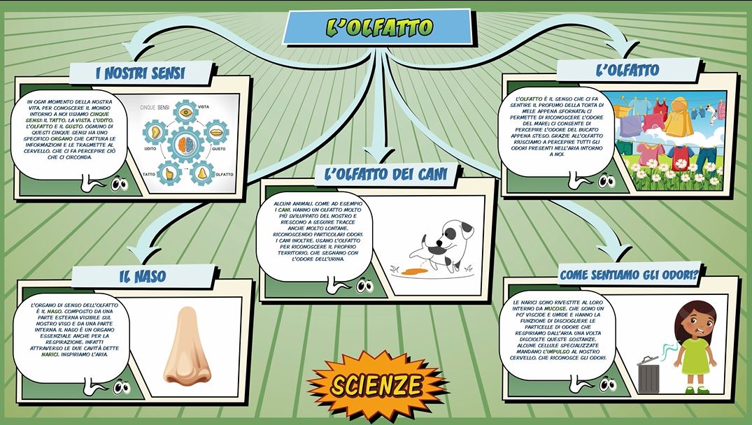 Olfatto Schooltoon Scienze Primaria