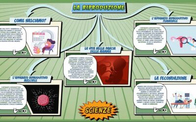 La riproduzione – Scienze per la Primaria – Schooltoon