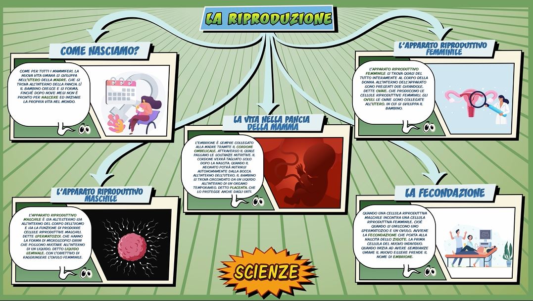 La riproduzione – Scienze per la Primaria – Schooltoon